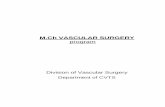M.Ch VASCULAR SURGERY - Sree Chitra Tirunal Institute … and Research/Academic/Board of... · Annals of Vascular Surgery c. Journal of Vascular and Endovascular Therapeutics 3. 5B