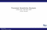 Transient Sensitivity Analysis - TU/e · PDF fileTalk Structure Introduction Recap Sensitivity Examples and Results Further Work Zoran Ilievski Transient Sensitivity Analysis