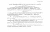 EXHIBIT B-1 THIRD AMENDED AND RESTATED LIMITED LIABILITY ...otherif/documents/ifdocs/nypcdcoappexb-… · exhibit b-1 third amended and restated limited liability company agreement