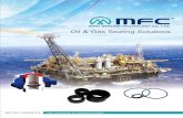 Oil & Gas Sealing Solutions - 211.21.103.68211.21.103.68/eCataLog/oil_gas.pdf · Oil & Gas Sealing Solutions MFC NO.: H06D007E-6 Your Inspiration to Sealing Solutions. ... 101.6 4