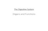 Organs and Functions - gardencity.k12.ny.us · PDF file•Digestive system diagram comes from this site •The Real Deal on the Digestive System •Pancreas: Introduction and Index