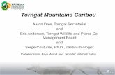 Torngat Mountains Caribou - cccpp-hftcc. · PDF fileAaron Dale, Torngat Secretariat and Eric Andersen, Torngat Wildlife and Plants Co-Management Board and Serge Couturier, Ph.D., caribou