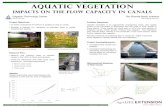 Aquatic Vegetation - Texas A&M Universityidea.tamu.edu/documents/posters/2008/2008Poster... · L. Demich, G. Fipps, A. Nazarov, A. Karimov, ... TX 77843- 2117. Aquatic Vegetation.