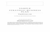 SAMPLE STRATEGIC BUSINESS PLAN - Seed & Startup …antiventurecapital.com/backupfolder/biz_plan.pdf · SAMPLE STRATEGIC BUSINESS PLAN Pipedream.com An Internet Sports Entertainment