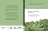 Management of alien plants in Spain: from prevention to ...digital.csic.es/bitstream/10261/72483/1/Andreu, Jara.pdf · Management of alien plants in Spain: from prevention to ...