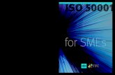A practical guide for SMEs - ISO · PDF fileISO 50001 : Energy management systems – A practical guide for SMEs Energy management systems ... 12 Introduction ... management system