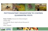 PHYTOSANITARY IRRADIATION TO CONTROL QUARANTINE · PDF filePHYTOSANITARY IRRADIATION TO CONTROL QUARANTINE PESTS Peter Follett, Research Entomologist USDA-ARS U.S. Pacific Basin Agricultural