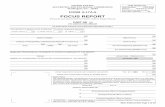 Form X-17A-5, Part IIB - SEC.gov · PDF fileFOCUS REPORT (Financial and Operational Combined Uniform Single Report) PART IIB 11 OTC DERIVATIVES DEALER . OMB APPROVAL ... SEC 2430 (2-02)