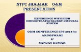 NTPC JHAJJAR O&M PRESENTATION - Indian Power … 2013 Presentations/Day-2 at PMI... · ntpc jhajjar o&m presentation experience with high concentrated slurry disposal system o&m conference-ips