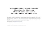 Identifying Unknown Bacteria Using Biochemical and ... · PDF fileIdentifying Unknown Bacteria Using Biochemical and Molecular Methods ... The lab was created to accompany lecture