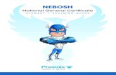 NEBOSH - Phoenix Health & Safety - NEBOSH, IOSH & NVQ ... · PDF fileWelcome to the revision guide for the NEBOSH National General Certificate. 3 Phoenix Health and Safety 2015