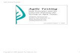 Agile Testing Overview - Test Obsessedtestobsessed.com/.../2011/04/AgileTestingOverview.pdf · It’s the only way to be sure that the features ... Agile Testing Overview Copyright
