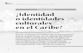 Primera pregunta ¿Identidad o identidades culturales en el ...avalon.utadeo.edu.co/dependencias/publicaciones/tadeo_66/66008.pdf · se encontraban dispersas entre gritos, cantos