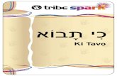 Ki Tavo - Pelorous spark KI... · Ki Tavo PrE-nUrSEry TO rEcEPTIOn Tots In this week’s parasha, the Children of Israel are about to enter the land of Israel, following the Exodus.