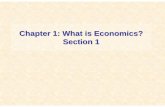 Chapter 1: What is Economics? Section 1jb-hdnp.org/Sarver/Econ_Honors/Chap_Summaries/Econ-Hon-CH-1.pdf · Businesses and GovernmentsBusinesses and Governments • Businesses make
