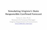 Simulating Virginia’s State Responsible Confined …b.3cdn.net/crjustice/3fdb14329195f15346_jkm6ibyqu.pdf · Simulating Virginia’s State Responsible Confined Forecast ... How