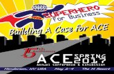 Building A Business Case for ACE - IAITAMiaitam.org/.../2016/01/IAITAM2017SPRINGACE_BusinessCaseBuilder.pdf · Building A Business Case for ACE Table of ontents 1. Structuring your