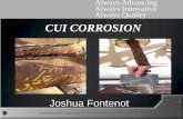 Always Innovative Always Quality CUI CORROSION · PDF fileAlways Innovative Always Quality ... Corrosion Cracking & localized pitting if chlorides are ... National Association of Corrosion