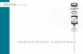InductIon LIghtIng - Mule Lighting — · PDF fileinduction lighting Induction lamps are one of the newest energy-saving lighting technologies developed in ... Fixture S/P Factor 2.0