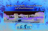 The Jewish Cemetery of Sathmar - jewishcomunity.rojewishcomunity.ro/download/The+Jewish+Cemetery+of+Sathmar.pdf · Summary of Jewish History in Satu Mare For the first time the Jewish