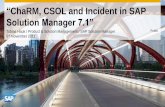 Solution Manager 7.1” - IBM · PDF file“ChaRM, CSOL and Incident in SAP Solution Manager 7.1” Tobias Hauk / Product & Solution Management / SAP Solution Manager 6th November