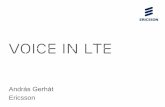 Voice in LTE - Főoldal -  · PDF fileIPSec protection of signaling. – Both Tel-URI and SIP URI ... Paging in LTE via SGs. 4. UE fall back to GSM or ... -MGW ISUP CS voice