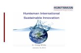 Huntsman International Sustainable Innovation - Lenzinglenzinginnovation.lenzing.com/...2012/...PM_Huntsman_International.pdf · Increased demand for garments with eco friendly manufacturing