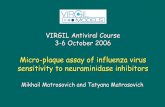 Micro-plaque assay of influenza virus sensitivity ... - · PDF fileMikhail Matrosovich and Tatyana Matrosovich VIRGIL Antiviral Course 3-6 October 2006 Micro-plaque assay of influenza