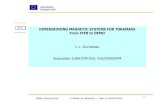 DIMENSIONING MAGNETIC SYSTEMS FOR TOKAMAKS · PDF fileDIMENSIONING MAGNETIC SYSTEMS FOR TOKAMAKS From ITER to DEMO J.-L. Duchateau ... electrical power of 1000 MW whose construction