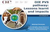 OIE PVS pathway: Lessons learnt and · PDF fileOIE PVS pathway: Lessons learnt and impacts Bolortuya Purevsuren ... Songino BIOKOMBINAT State Central Veterinary Laboratory School of