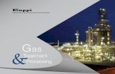 Treatment Processing - Enppi Production... · Gas Treatment & Processing ... Each fractionation train will ... ethane and natural gas liquids recovery units in
