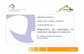 Diagnóstico de patologías en Cetáceos varados en Canarias · PDF filedistintos perfiles de buceo. 6) Caracterización de la respuesta ... -Centro de Investigación en Sanidad Animal