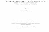 THE PATHOGENESIS OF MEDULLOBLASTOMA · PDF fileThe role of cell adhesion genes in the pathogenesis of medulloblastoma Master of Science, 2010 Kelsey C. Bertrand ... medulloblastomas,