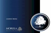 Morula full profile low res - XML - Morula Resourcesmorularesources.co.za/morula.pdf · INTRODUCTION TO MORULA RESOURCES Morula Resources is a privately owned company set up in support