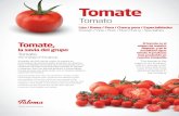 Tomate - GRUPO PALOMA TOMATE… · tomate durante casi todo el año, con la máxima calidad y ... rojo intenso Sabor: Dulce, intenso y de gran permanencia en la boca Aroma: muy aromático