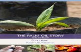 THE Palm Oil sTOry - Caobiscocaobisco.eu/public/images/page/caobisco-23072014123536-EuropeanP… · the Palm Oil Story 2 European Palm Oil Alliance What is palm oil? 3 Palm oil production