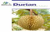 Descriptors for Durian - Bioversity International · PDF fileii Durian Bioversity International (formerly International Plant Genetic Resources Institute (IPGRI) is an independent