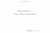 Plyometric Exercise Examples - Waterford Sports ... · PDF filePlyometric Exercise Examples . Plyometric Exercises Alan Kinsella ... To get yourself ready for plyometrics, a normal