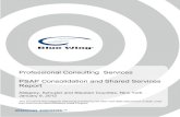 Professional Consulting Services PSAP Consolidation Allegany, Schuyler, and Steuben Counties Professional Consulting Services PSAP Consolidation and Shared Services Report Blue Wing