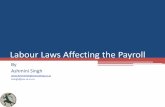 Labour Laws Affecting the Payroll - Ashmini Singh - VdWweb.vdw.co.za/Portals/12/Documents/events/2011/SAPA conference 20… · Labour Laws Affecting the Payroll By ... work 21.67