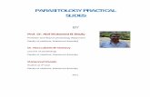 PARASITOLOGY PRACTICAL SLIDES - · PDF filePARASITOLOGY PRACTICAL SLIDES BY Prof. Dr. Atef Mohamed El Shazly Professor and Head of parasitology department Faculty of medicine, Mansoura