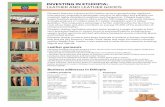 INVESTING IN ETHIOPIA: LEATHER AND LEATHER · PDF fileINVESTING IN ETHIOPIA: LEATHER AND LEATHER GOODS ... leather garments, stitched upholstery, backpacks, purses, industrial gloves