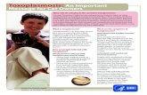 Toxoplasmosis: An Important Message for Cat Owners ? Â· Toxoplasmosis: An Important Message for Cat Owners What role do cats play in the spread of toxoplasmosis? ... Protecting