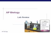 AP & Regents Biology - grapbiology - homegrapbiology.wikispaces.com/file/view/AP+Lab+Review.pdf · Investigation 13 – Enzyme Catalysis . ... AP Biology Lab 5: ... The arrows indicate