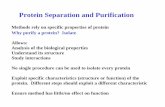 Protein Separation and Purificationmsg.mbi.ufl.edu/bch4024r/notes-L9.2009.pdf · Protein Separation and Purification Methods rely on specific properties of protein Why purify a protein?