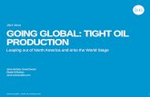 Going Global: Tight Oil Production - U.S. Energy ... · PDF fileGOING GLOBAL: TIGHT OIL PRODUCTION ... Petroleum Risk Manager Overall Risk Scores ... breakeven economics as in the