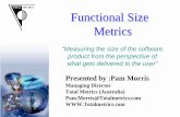 Functional Size Metrics · PDF fileFunctional Size Metrics! ... Project Dollar Cost!Product Quality ... as part of the Capital Assets for Accrual Accounting!