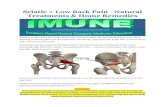 Sciatic + Low Back Pain - Natural Treatments ... - … - Imune Pain - Natural... · Sciatic + Low Back Pain - Natural Treatments & Home Remedies ... Exercises and stretches for sciatic