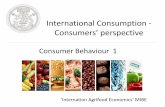 International Consumption - Consumers perspectiveeconomia.unipv.it/pagp/pagine_personali/msassi/magdaEGSA... · . 3 Consumer Behaviour Internal Processes External Processes Desisive