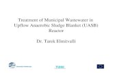 Treatment of Municipal Wastewater in Upflow Anaerobic ... · PDF fileWEB BASED TRAINING 2005 Treatment of Municipal Wastewater in Upflow Anaerobic Sludge Blanket (UASB) Reactor Dr.
